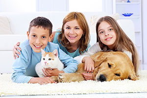 remove-pet-odours-in-carpet